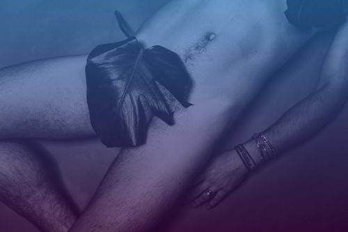 barbe.v.cedric nude