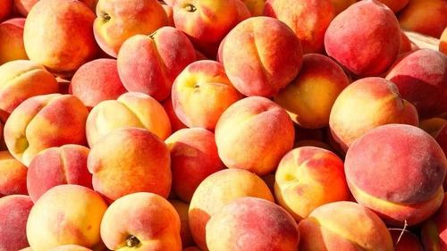 honeybuns444 nude