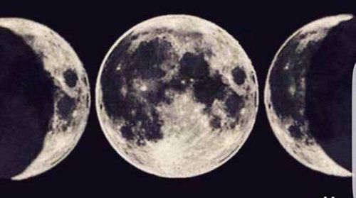 moonxxxx nude